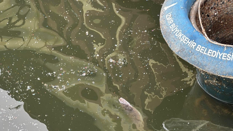 İzmir Körfezi’nde bir kez daha deniz kirliliği tespit edildi