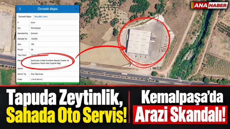 Tapuda mantar tesisi ve zeytinlik, sahada dev otomotiv servisi!   