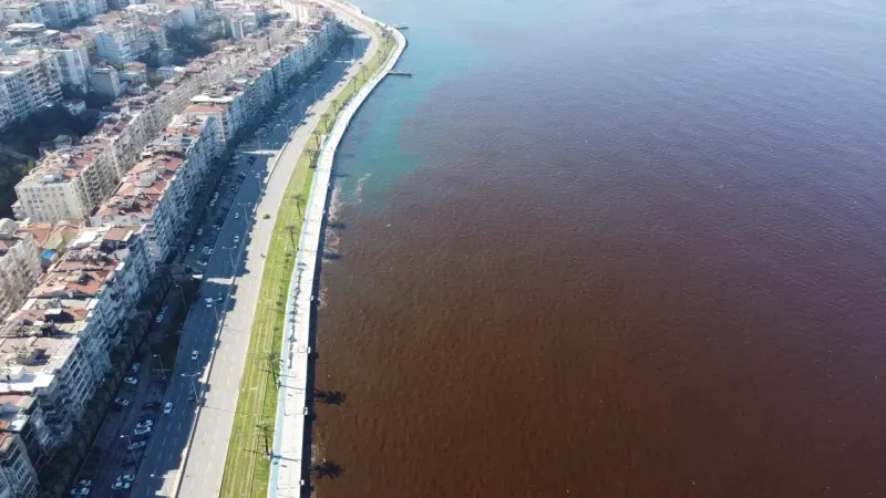 İzmir Körfezi’nde sağanak sonrası ağır koku çilesi yeniden başladı