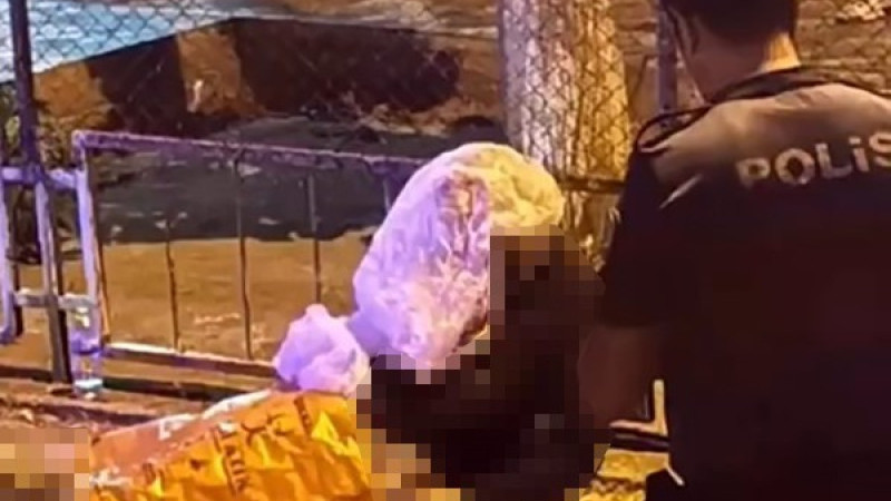 Karabağlar'da kavga ölüm getirdi