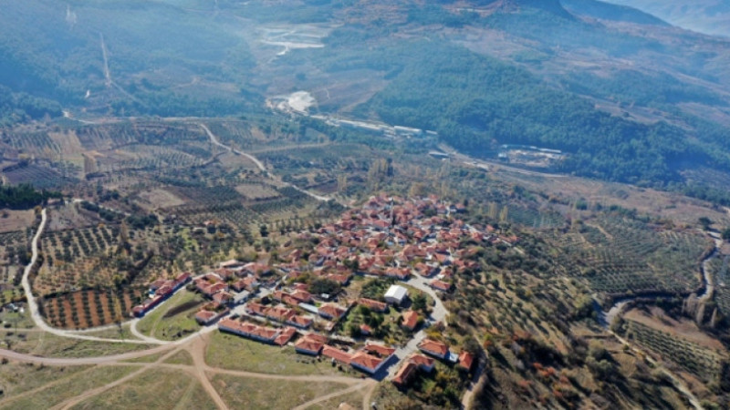 Zeytinliklere 3 kilometre mesafe kuralı, Soma’daki ocağı durdurdu