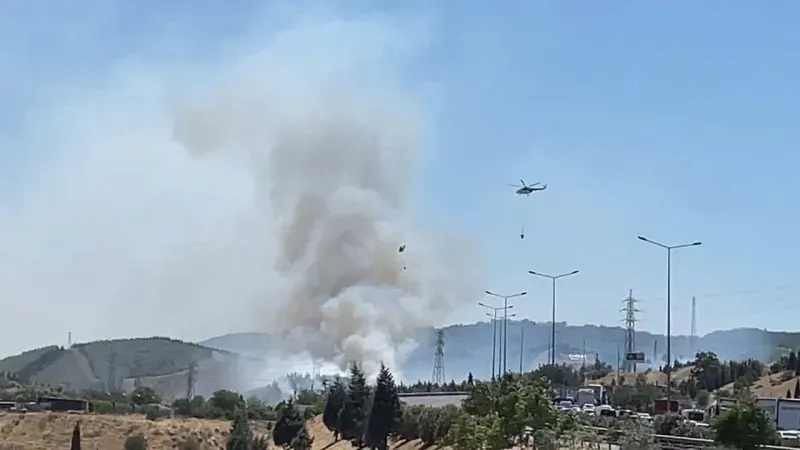 İzmir Buca’da orman yangını: Havadan ve karadan müdahale sürüyor